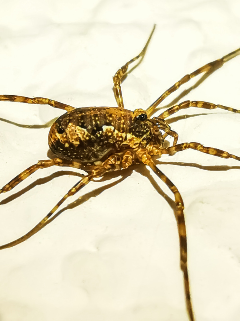 PSX_20230307_222709 | mtkfoto_ - Realisiert mit Pictrs.com