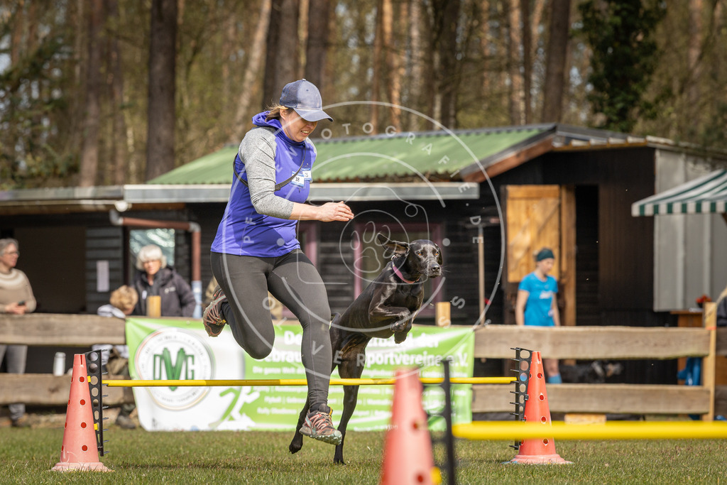 Pfotenfotografie_DV3A6469 | Hundefotografie, Tierfotograf, Pfotenfotografie, Fotoshooting Hund, Hunde Portrait, Hundesport, Hundeportraits, Heideshooting, Hunde, Sportfotograf, Hundefotograf, Turnierhundsport, THS,  - Realisiert mit Pictrs.com