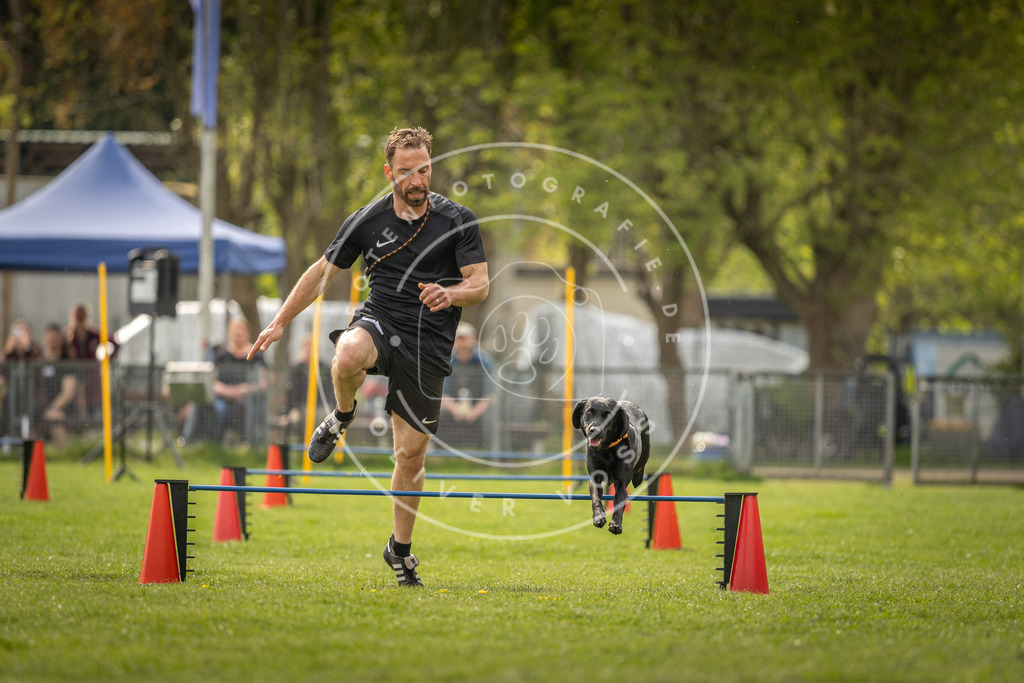Pfotenfotografie_DV3A6197 | Hundefotografie, Tierfotograf, Pfotenfotografie, Fotoshooting Hund, Hunde Portrait, Hundesport, Hundeportraits, Heideshooting, Hunde, Sportfotograf, Hundefotograf, Turnierhundsport, THS,  - Realisiert mit Pictrs.com