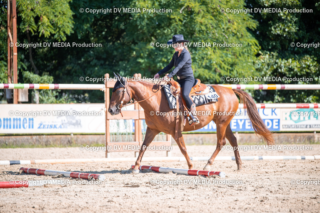 ZS1_0846 | dv-media-shop - Realisiert mit Pictrs.com