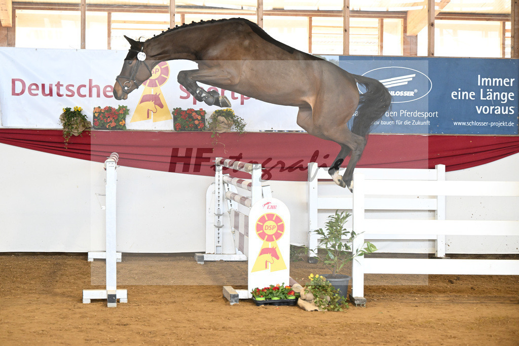 Kat-Nr. 33 Carassina S v. Chinchero_Schaefer_16250867 | hf-fotografie - Realisiert mit Pictrs.com