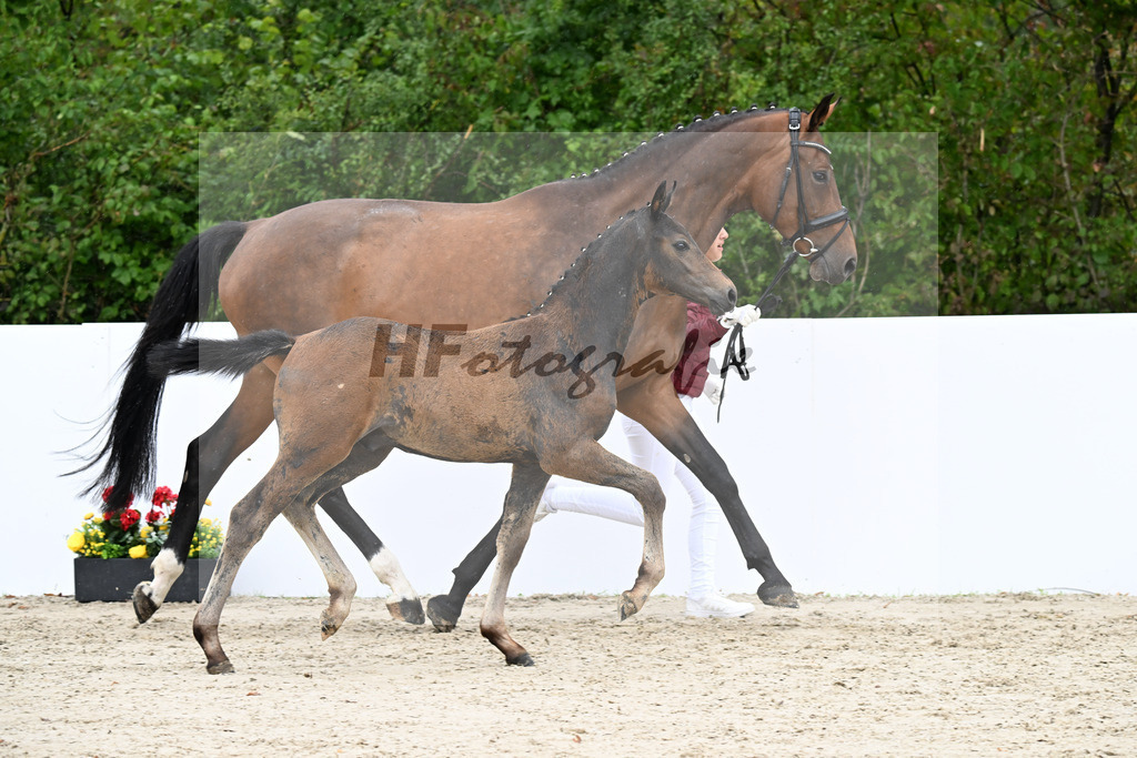 Charthago Blue x Chatender_HF_Gruber_23250384 | hf-fotografie - Realizzato con Pictrs.com
