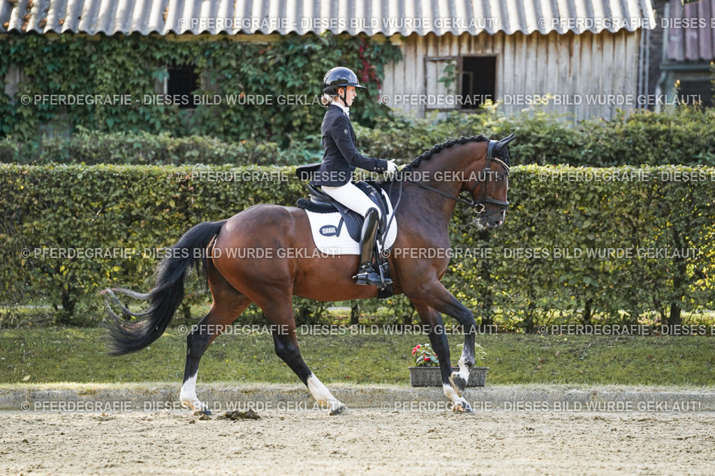 DSC05114 | Pferdegrafie