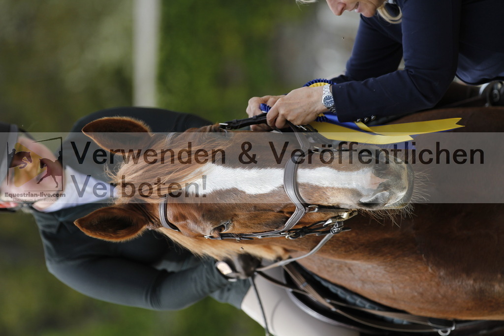 _MG_3031 | equestrian-live-com