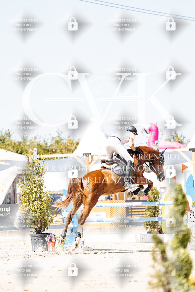 CK909813 | Turnierfotografie Pferdefotografie Trier Rheinland-Pfalz Pferdesport Reitsport Tierfotografie Sportfotografie Pferdevideo Pferdevideografie Equestrianvideography equestrianphotography  - Realisiert mit Pictrs.com
