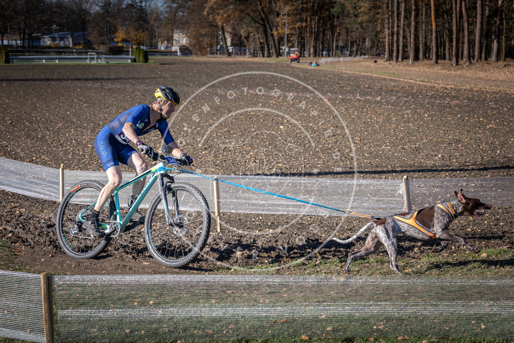 CaniXpix_DV3A6947 | Hundefotografie, Tierfotograf, Pfotenfotografie, Fotoshooting Hund, Hunde Portrait, Hundesport, Hundeportraits, Heideshooting, Hunde, Sportfotograf, Hundefotograf, Turnierhundsport, THS,  - Realisiert mit Pictrs.com