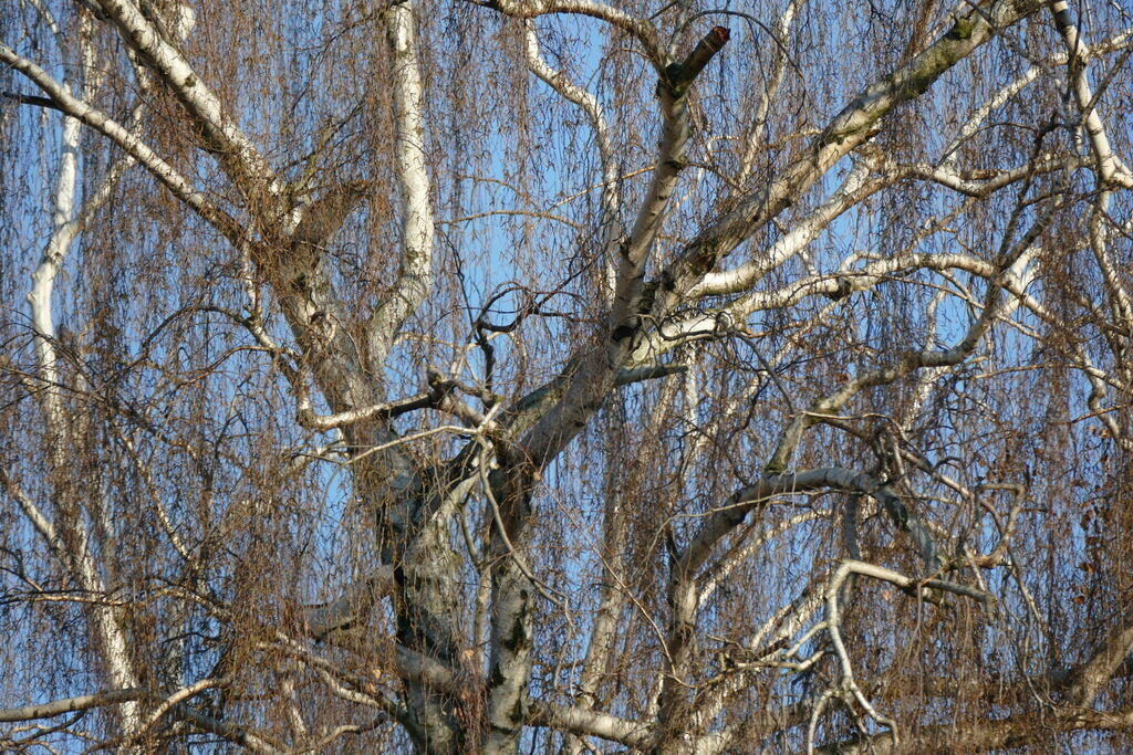 P1640806 | Annaeherungen - Realisiert mit Pictrs.com