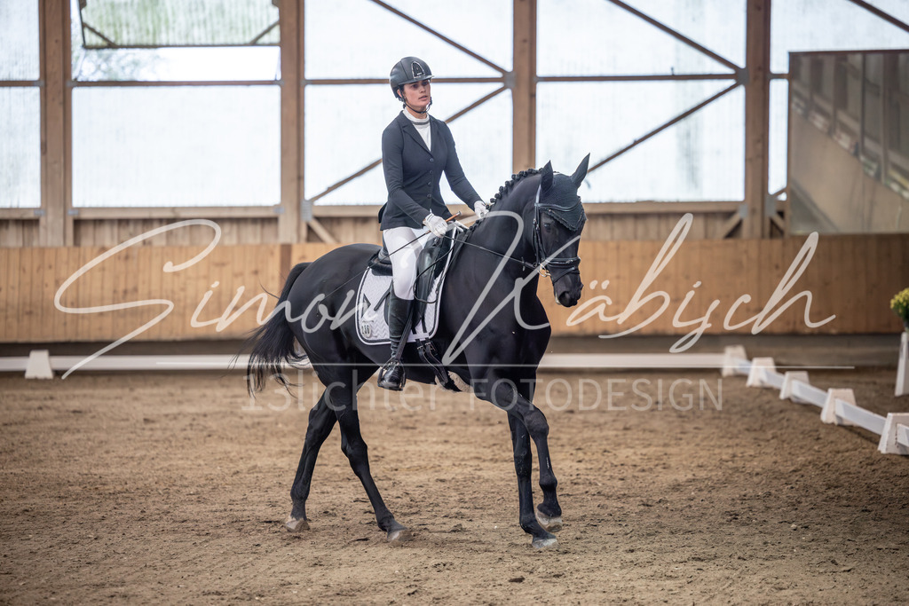 20251011-_3LI1540 | Tierfotografie Pferde, Hunde, Katzen, Haustiere.
Turnierfotografie Reitturniere, Reiten, Springreiten, Dressur in Hanau, dem Main-Kinzig-Kreis und dem Rhein-Main- Gebiet um Frankfurt