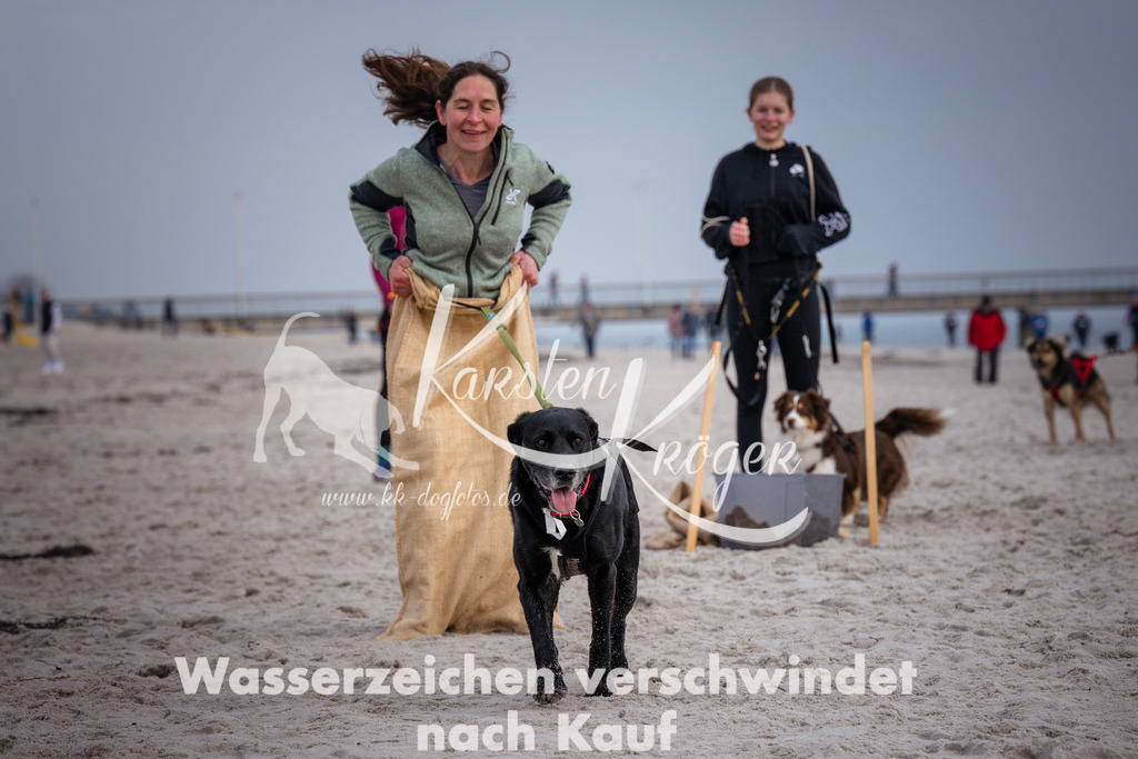 1300_ZZ97662 | kk-dogfotos