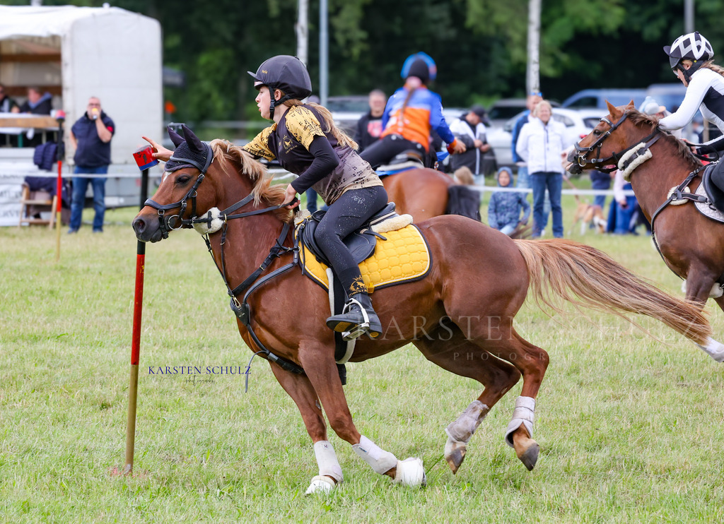 1B3A1006 | Reitsport Reiten