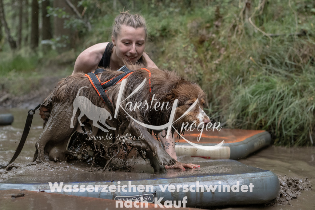 1321_ZZ93581 | kk-dogfotos