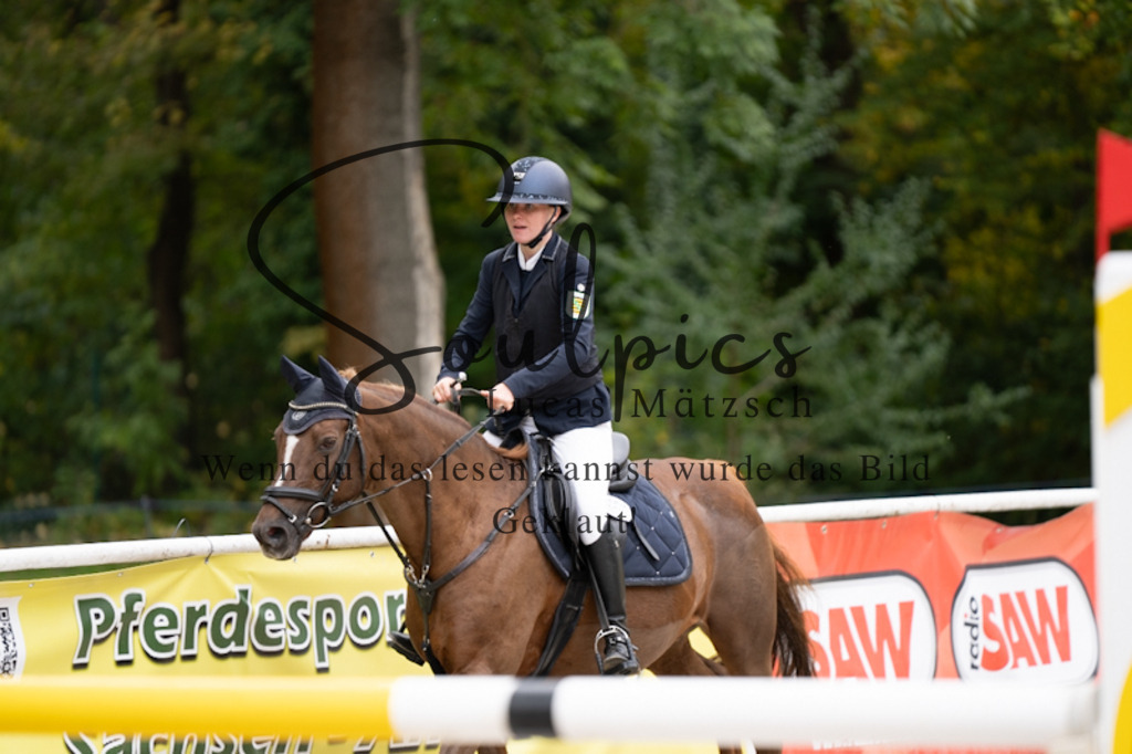 A7V00961 | Pferdefotograf