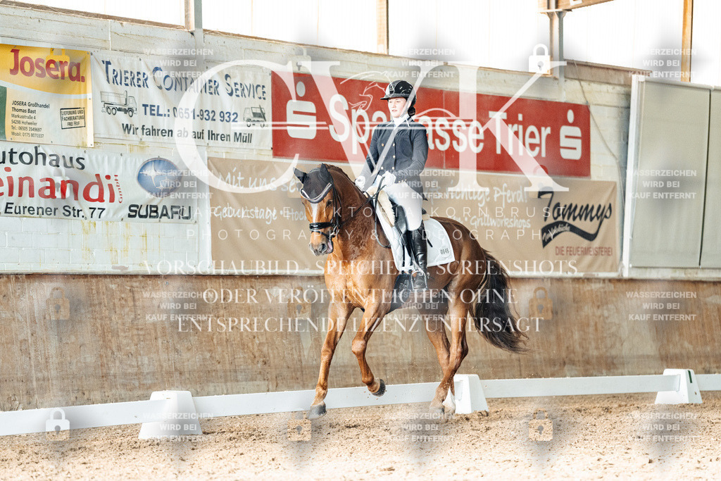 CK903168 | Turnierfotografie Pferdefotografie Trier Rheinland-Pfalz Pferdesport Reitsport Tierfotografie Sportfotografie Pferdevideo Pferdevideografie Equestrianvideography equestrianphotography  - Realisiert mit Pictrs.com