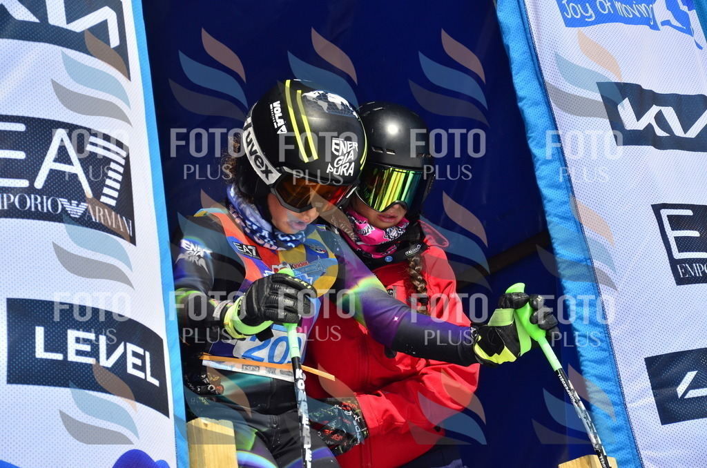 _ELE1443 | holidayphoto