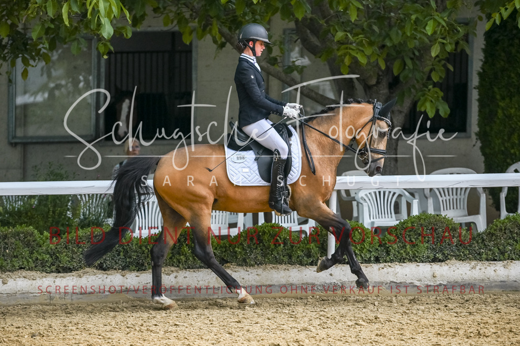 Schugtsche-Aluta25-55.Dressurreiterprf.L1Tr-229 | Schugtsche Fotografie - Realisiert mit Pictrs.com
