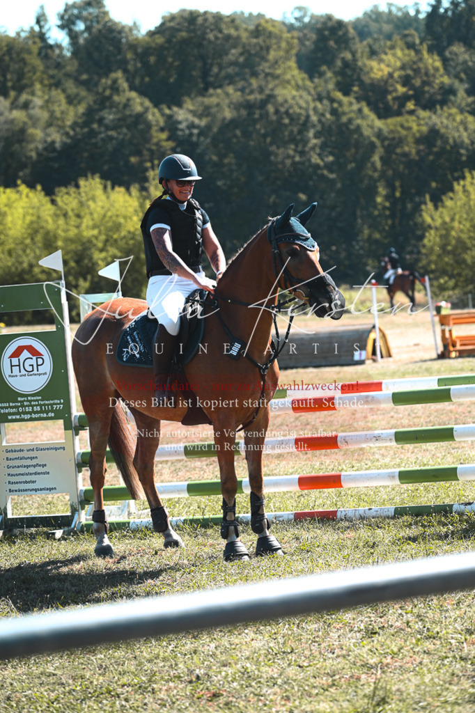 DSC_8429 | Pferde- und Turnierfotografie in Westsachsen. Pferdeportraits, Auftragszeichnungen und intuitive Kunst.