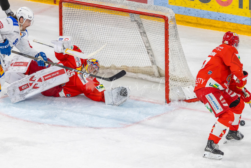 EHCB vs EVZ 20260227_WB-7406 | Sportbilder, Sportfotograf, Hochzeits- und Eventfotografin, Flugshows, Portraits und Tiershooting, Aviation, Downhill, Nationalleague, Swissleague, International