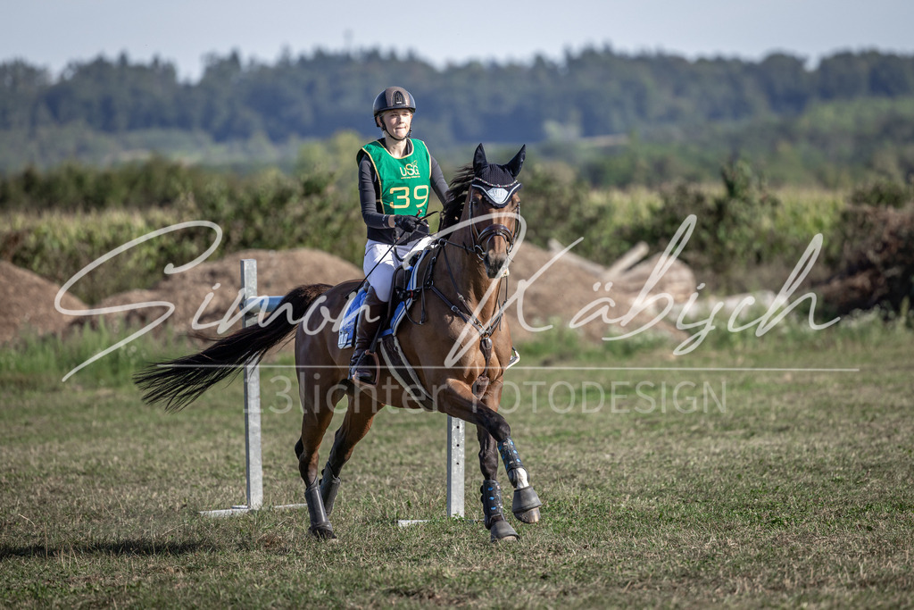 20250907-_3LI3986 | Tierfotografie Pferde, Hunde, Katzen, Haustiere.
Turnierfotografie Reitturniere, Reiten, Springreiten, Dressur in Hanau, dem Main-Kinzig-Kreis und dem Rhein-Main- Gebiet um Frankfurt