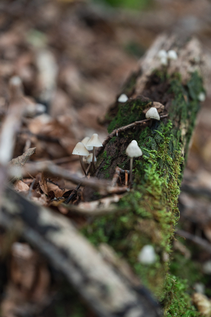 ZD250916093916 | Fotoshop von zweidimensional Fotografie. Ihr Fotograf im Aargau. Abzüge von Ihrem Fotobox Event bestellen.Abzüge von Ihrem Hochzeit bestellen.Abzüge von Ihrem Schulfotograf bestellen.