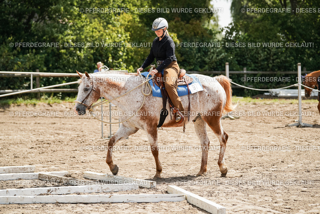 DSC06294 | Pferdegrafie