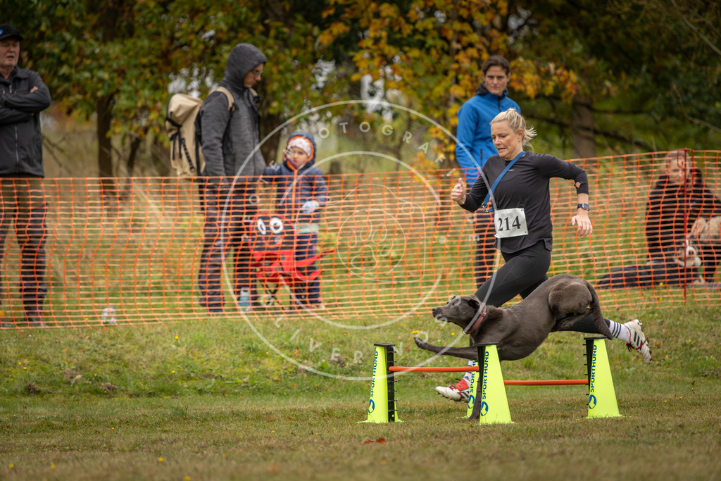 Pfotenfotografie_DV3A4325 | Hundefotografie, Tierfotograf, Pfotenfotografie, Fotoshooting Hund, Hunde Portrait, Hundesport, Hundeportraits, Heideshooting, Hunde, Sportfotograf, Hundefotograf, Turnierhundsport, THS,  - Realisiert mit Pictrs.com