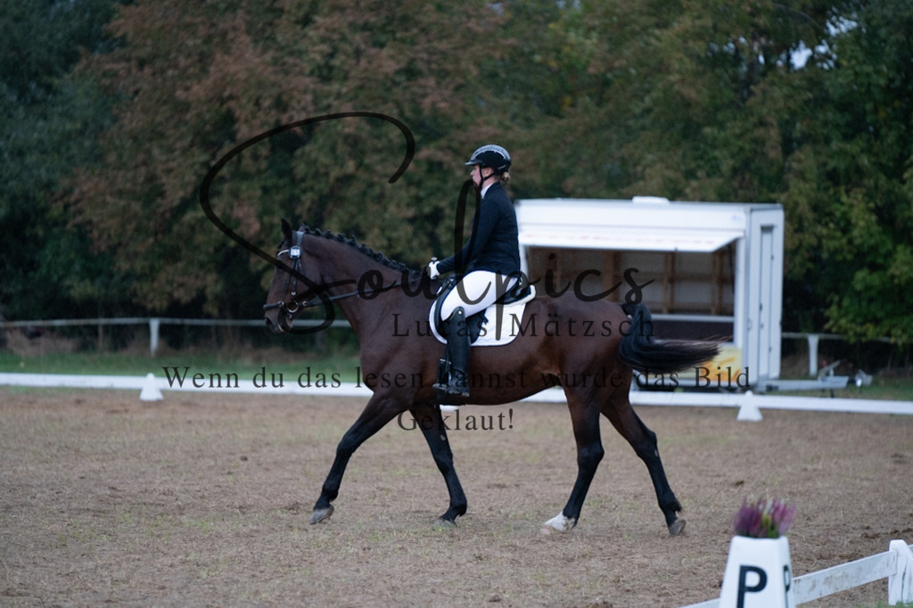 A7V04909 | Pferdefotograf