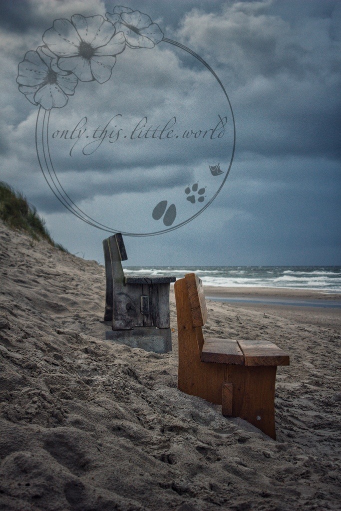 IMG_9156-01 | only.this.little.world - Realisiert mit Pictrs.com