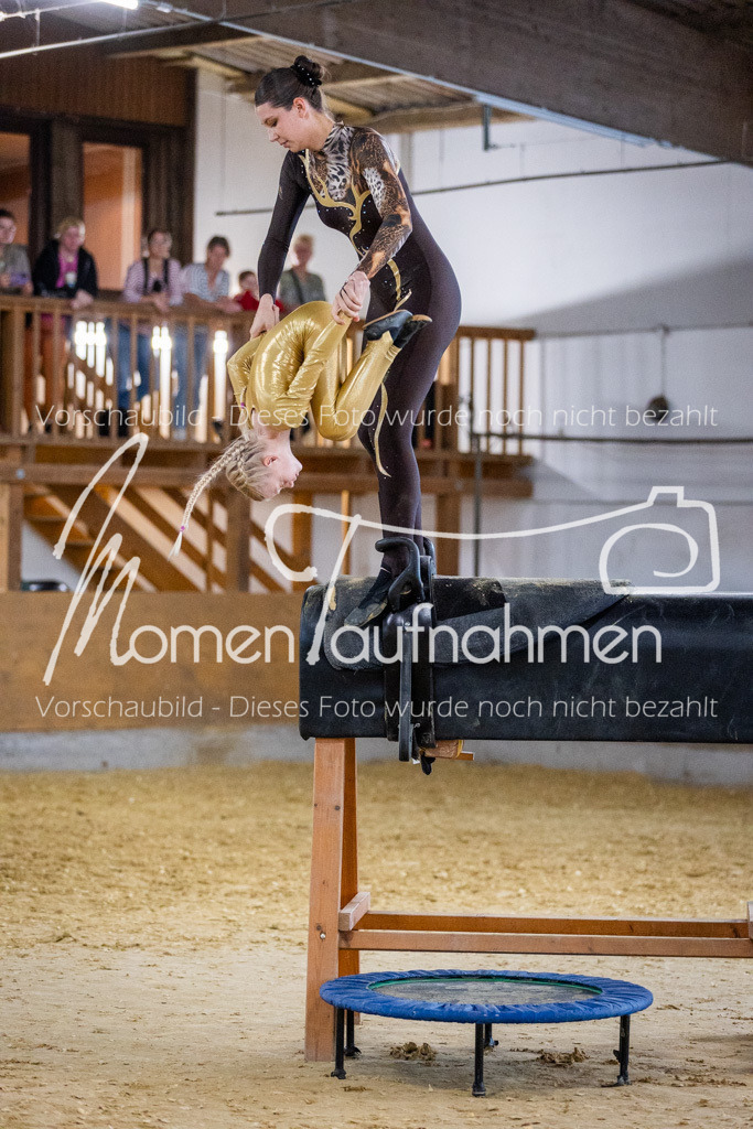 Holzpferd-074 | MomenTaufnahmen Pferdesportfotos