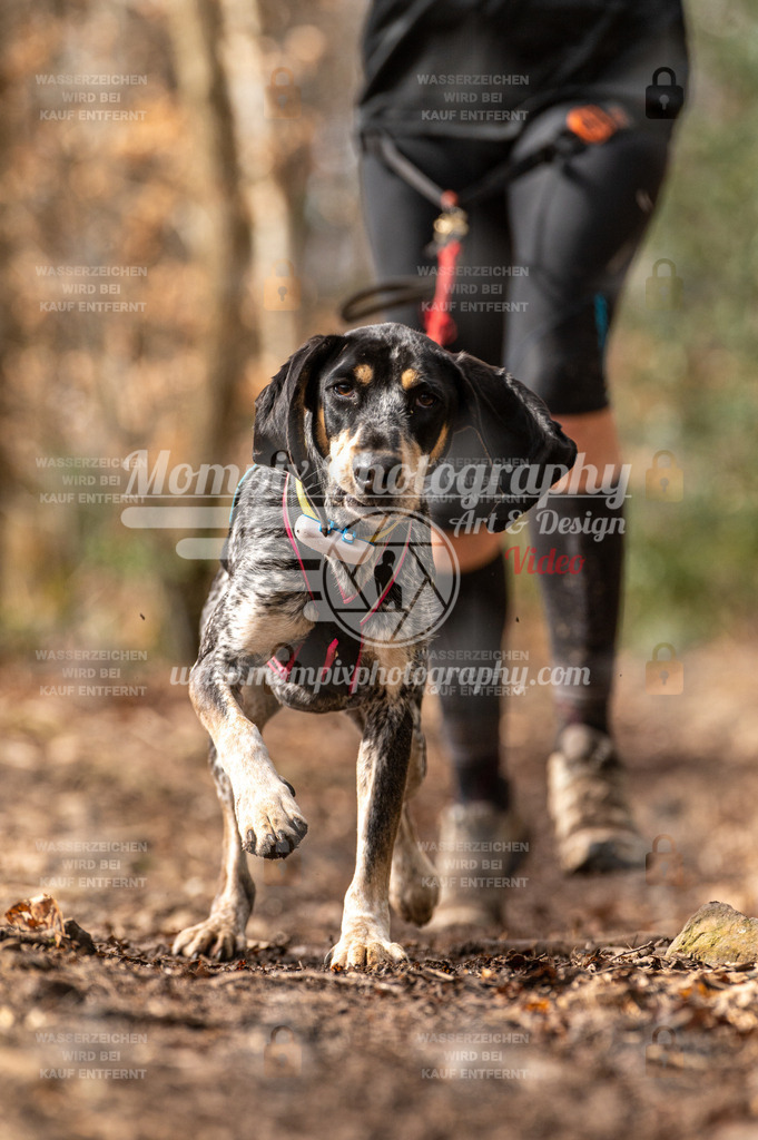 SPA_2023_DIM_Fun-30 | PayLife