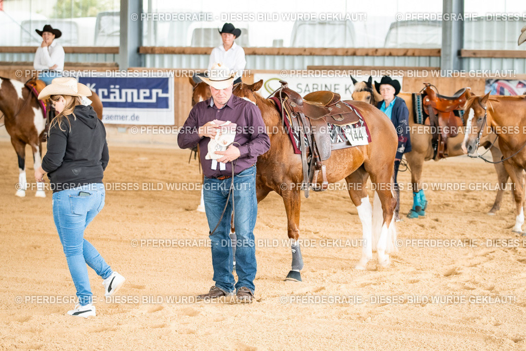 DSC02490 | Pferdegrafie