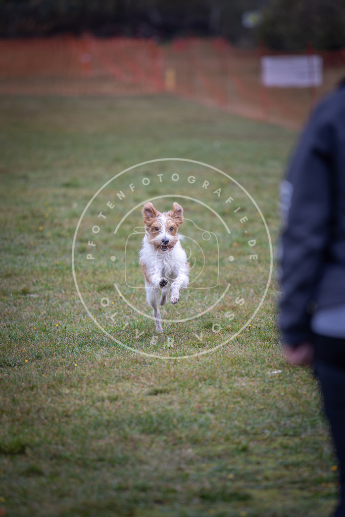 Pfotenfotografie_DV3A9216 | Hundefotografie, Tierfotograf, Pfotenfotografie, Fotoshooting Hund, Hunde Portrait, Hundesport, Hundeportraits, Heideshooting, Hunde, Sportfotograf, Hundefotograf, Turnierhundsport, THS,  - Realisiert mit Pictrs.com
