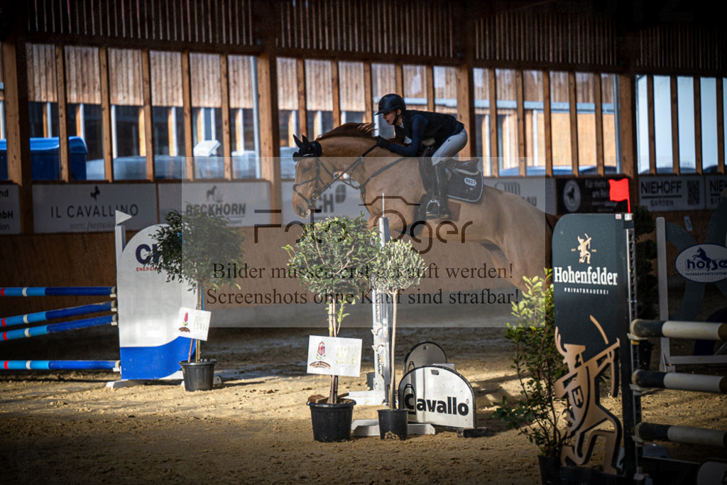 DOS_1142 | Entdecke hochwertige Reitturnierfotos von Foto Oger. Professionell, emotional und authentisch – jetzt Lieblingsmomente im Shop bestellen.Deutschlandweite Turnierfotografie. - Realisiert mit Pictrs.com