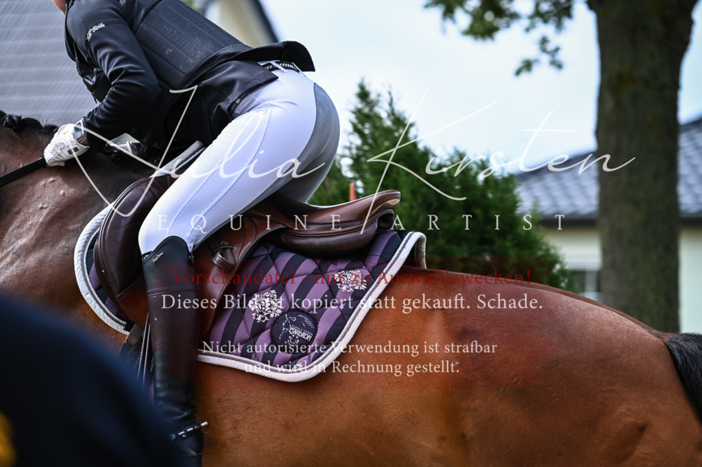 DSC_8424 | Pferde- und Turnierfotografie in Westsachsen. Pferdeportraits, Auftragszeichnungen und intuitive Kunst.