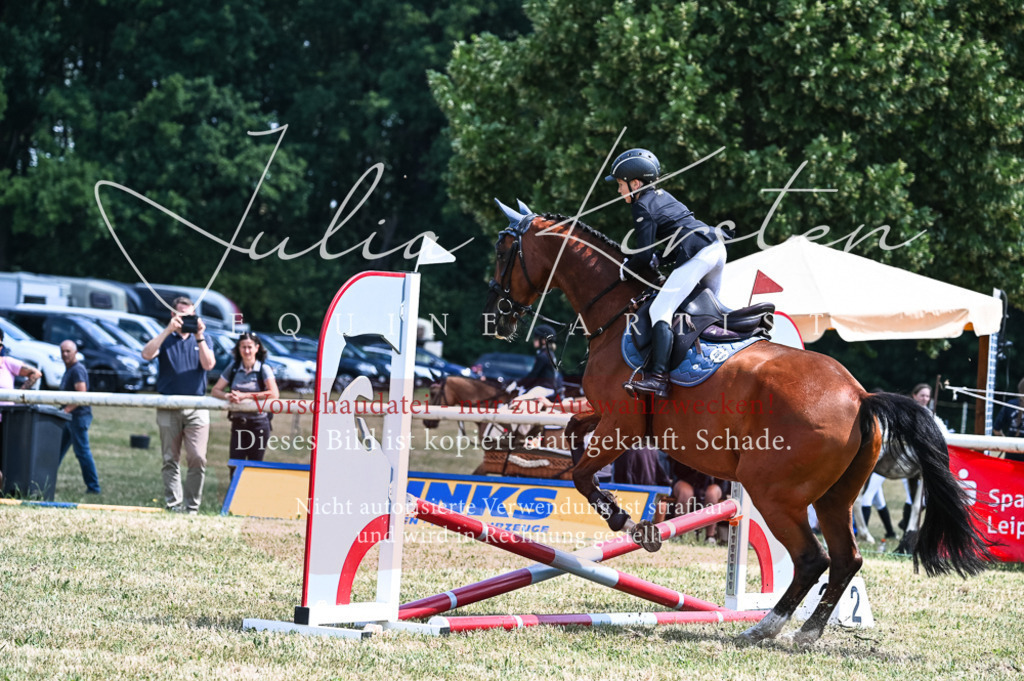 DSC_9682 | Pferde- und Turnierfotografie in Westsachsen. Pferdeportraits, Auftragszeichnungen und intuitive Kunst.