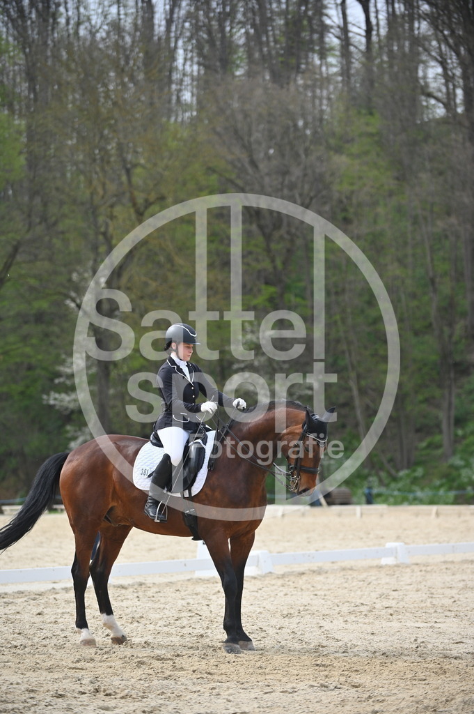 DSC_4960 | sattelsport - Realisiert mit Pictrs.com