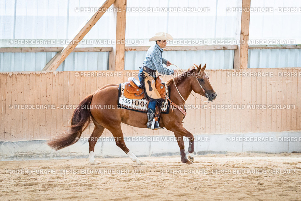 DSC03200 | Pferdegrafie