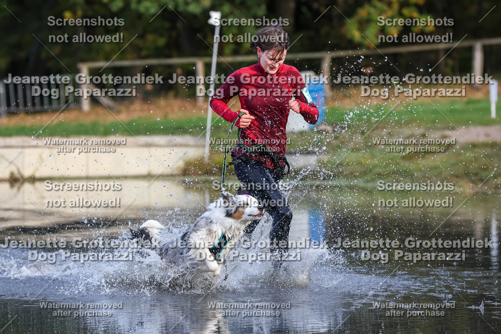 Dog Paparazzi - Strongdog 10-25-8237 | Dog Paparazzi Jeanette Grottendiek Fotografie & Videografie - Realisiert mit Pictrs.com