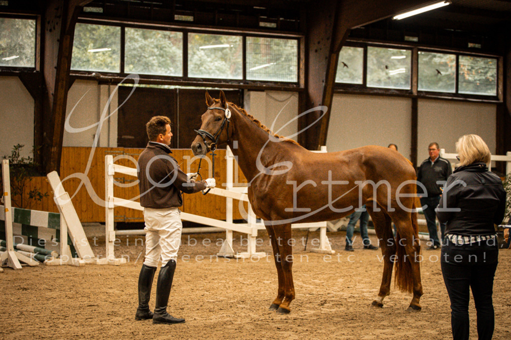 1FS_L00080 | Leoni Ertmer Photography - Realisiert mit Pictrs.com