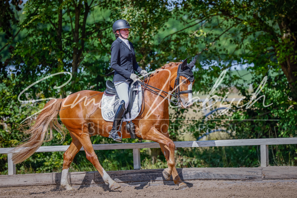 20250621-_3LI9432 | Tierfotografie Pferde, Hunde, Katzen, Haustiere.
Turnierfotografie Reitturniere, Reiten, Springreiten, Dressur in Hanau, dem Main-Kinzig-Kreis und dem Rhein-Main- Gebiet um Frankfurt