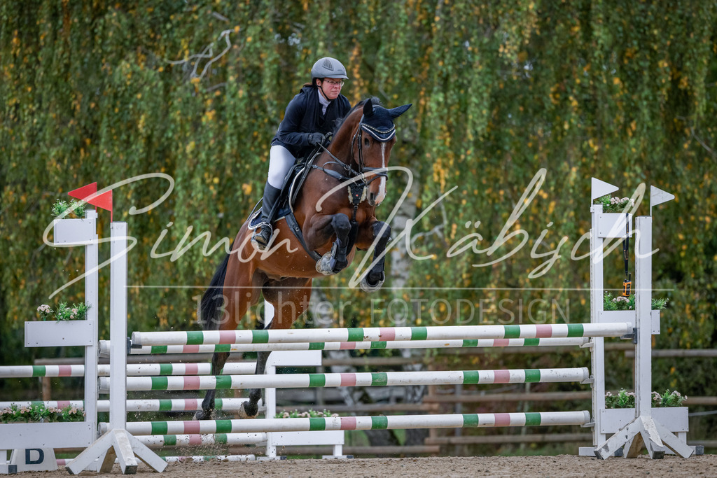 20251012-_3LI4319 | Tierfotografie Pferde, Hunde, Katzen, Haustiere.
Turnierfotografie Reitturniere, Reiten, Springreiten, Dressur in Hanau, dem Main-Kinzig-Kreis und dem Rhein-Main- Gebiet um Frankfurt
