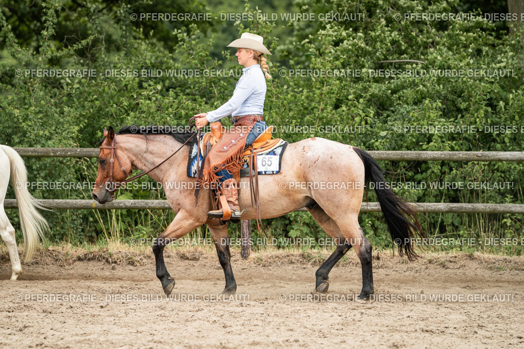 DSC04153 | Pferdegrafie