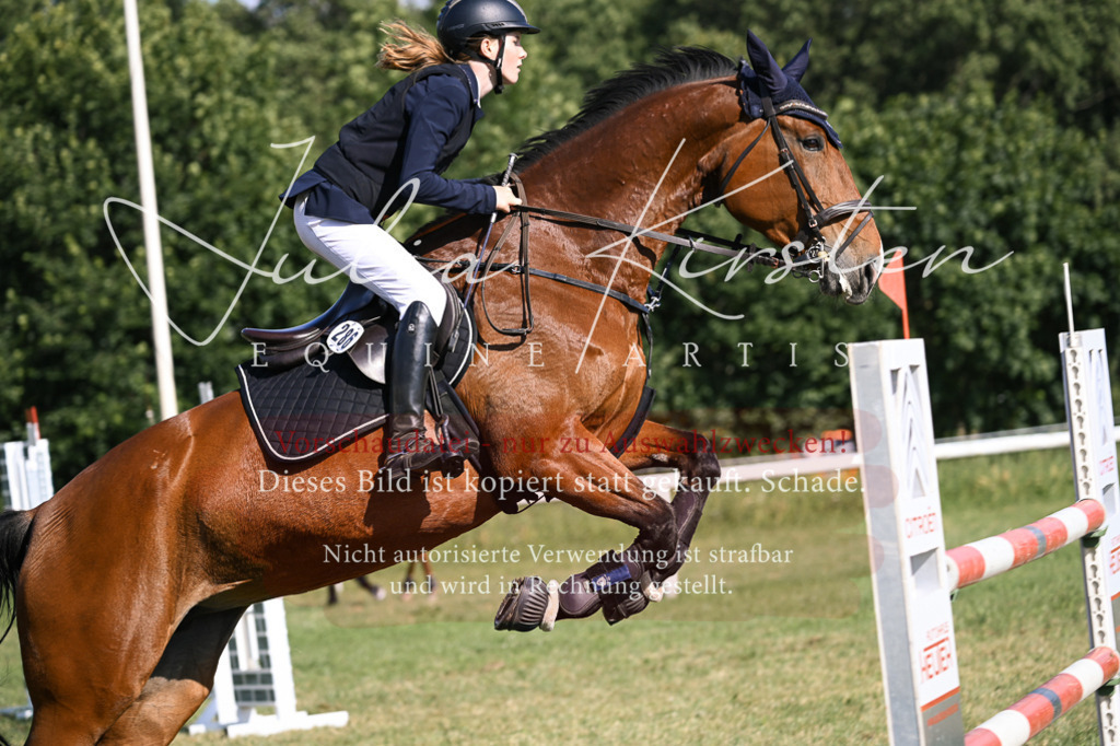 DSC_1324 | Pferde- und Turnierfotografie in Westsachsen. Pferdeportraits, Auftragszeichnungen und intuitive Kunst.