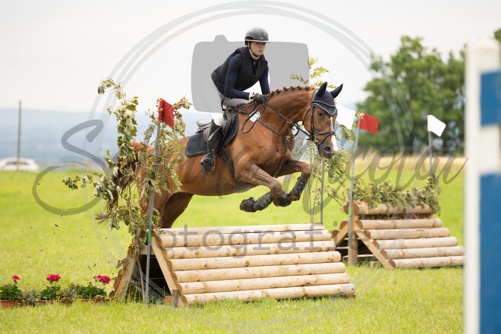 994A2256 | sabrinanicolaifotografie - Realisiert mit Pictrs.com