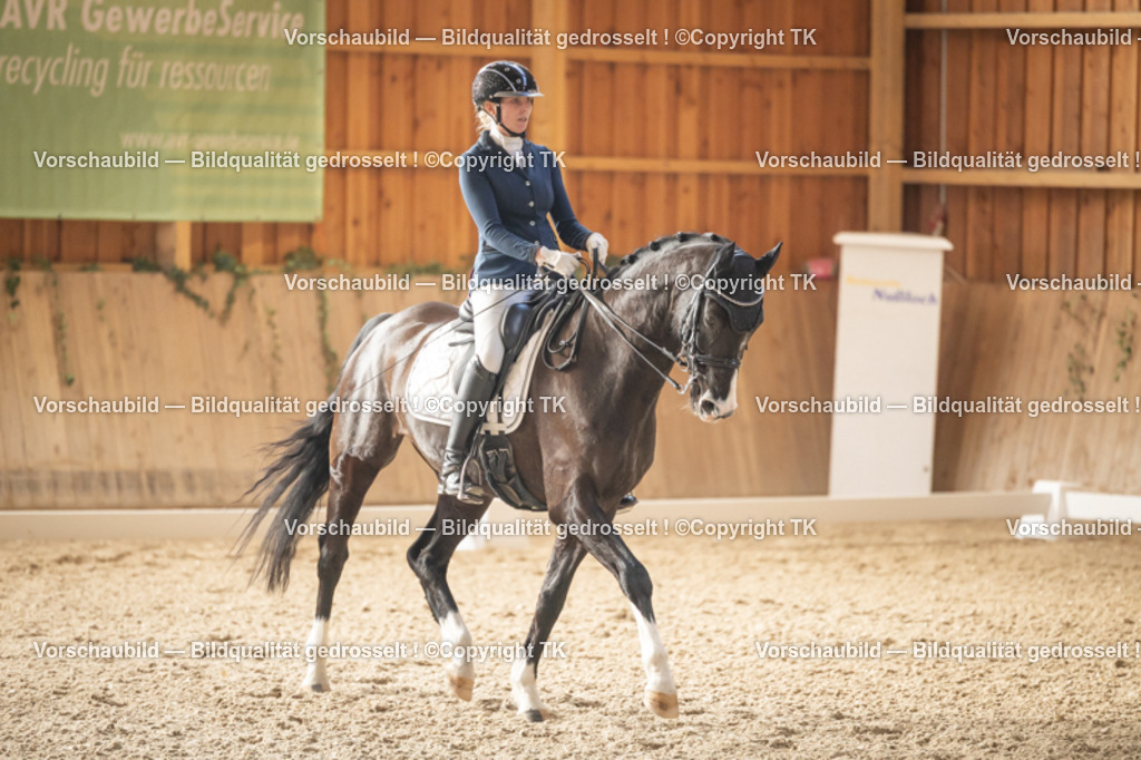 _D5A3018 | Emotionale Pferde- & People-Fotografie rund um Heidelberg, Leimen & Umgebung. Natürliche Fotos von Pferd, Mensch & Familie. Jetzt Termin sichern!