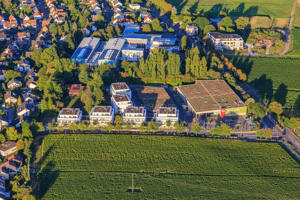 Luftbild: WASGAU Frischemarkt Landau an der Wollmesheimer Höhe und 6 Mehrfamilienhäuser an der Hagenauer Straße in Landau in der Pfalz im Bundesland Rheinland-Pfalz in Deutschland. Foto: IMG_149526.jpg vom 31.08.2025 durch Werner Riehm/FLY-FOTO.de