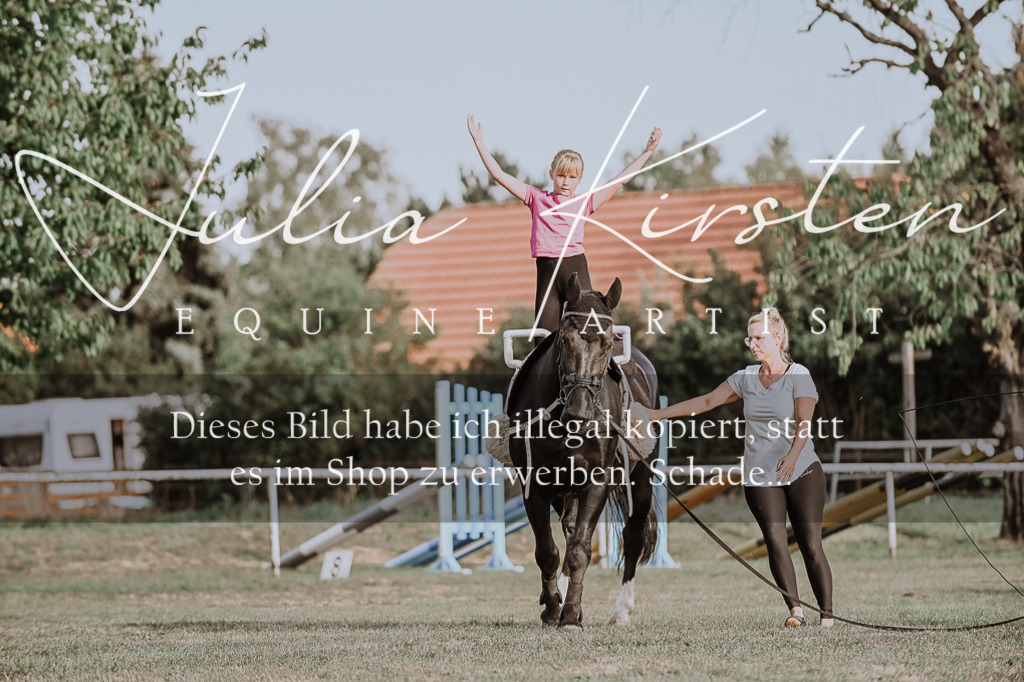 DSC_9846 | Pferde- und Turnierfotografie in Westsachsen. Pferdeportraits, Auftragszeichnungen und intuitive Kunst.