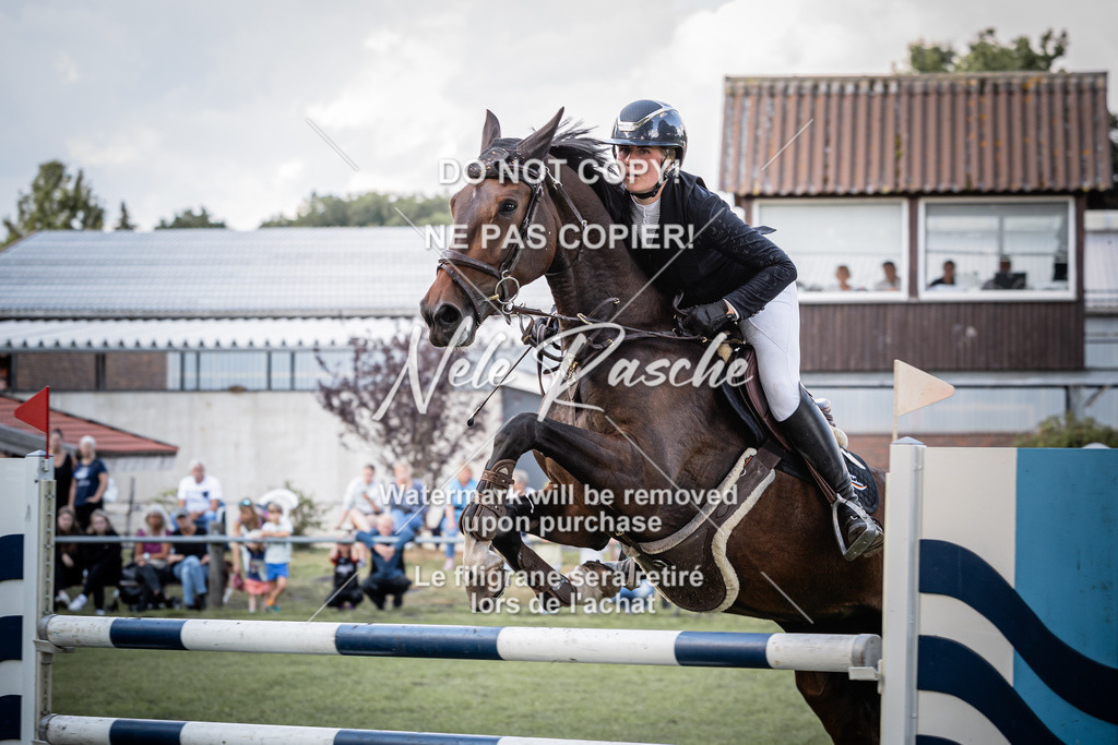 nelerasche_SprM_120Ede_03 | nelerasche
