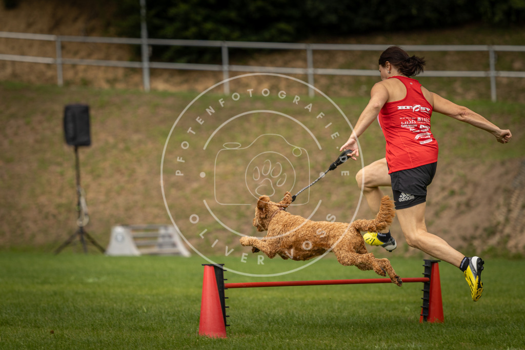 Pfotenfotografie_DV3A1987 | Hundefotografie, Tierfotograf, Pfotenfotografie, Fotoshooting Hund, Hunde Portrait, Hundesport, Hundeportraits, Heideshooting, Hunde, Sportfotograf, Hundefotograf, Turnierhundsport, THS,  - Realisiert mit Pictrs.com
