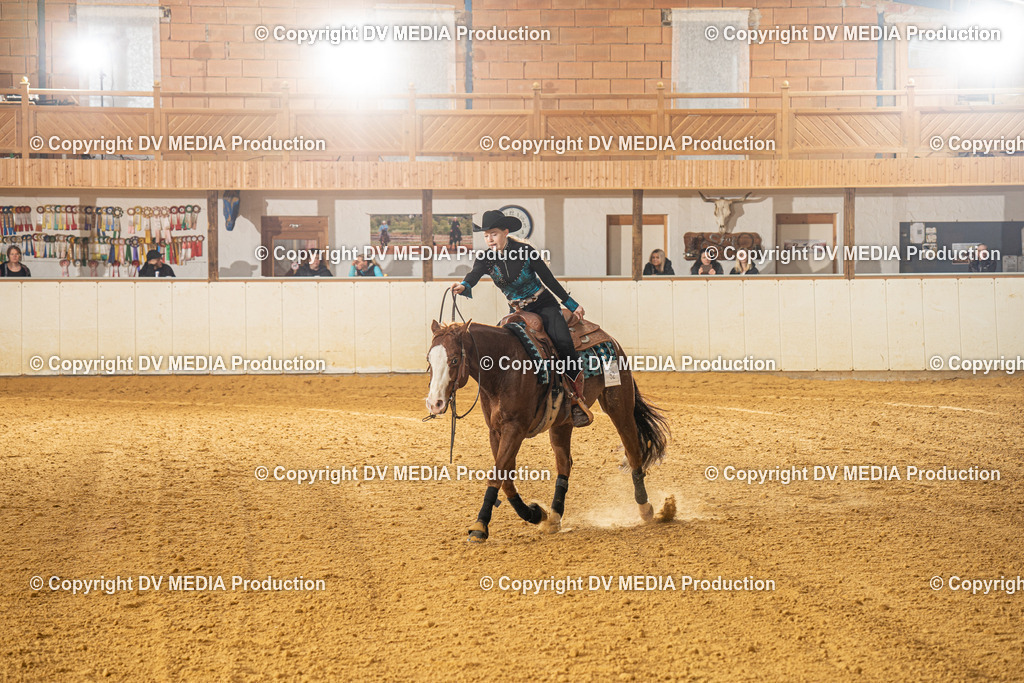 MIT00636 | dv-media-shop - Realisiert mit Pictrs.com