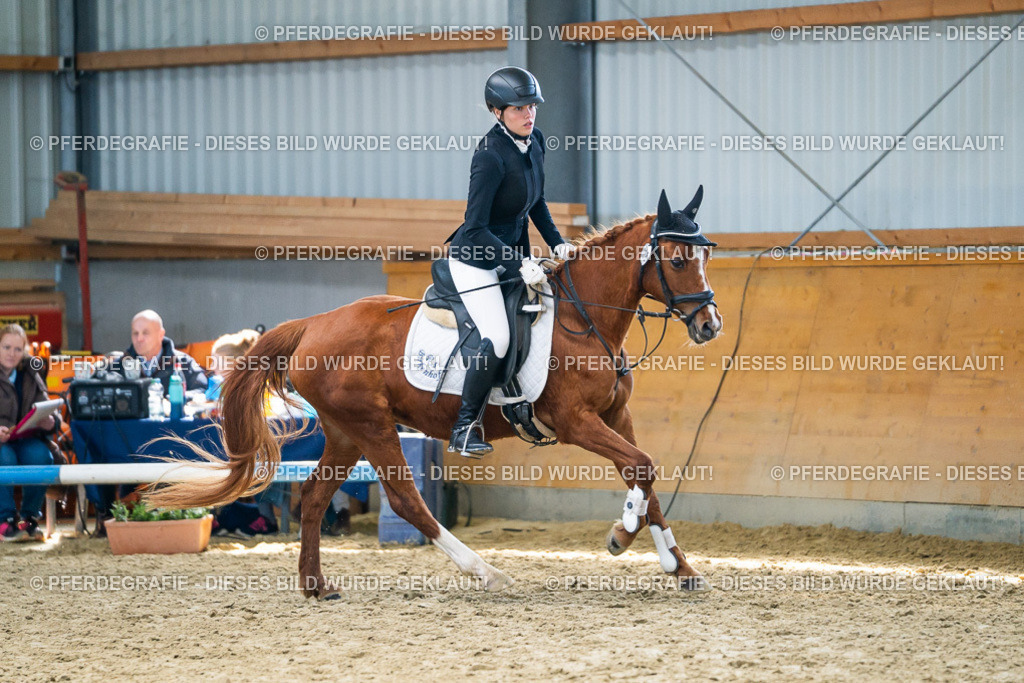 DSC02068 | Pferdegrafie